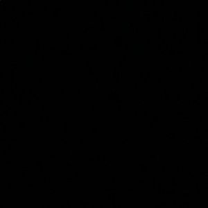 Meet your Posher, Jack